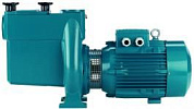 Насос для бассейна с предварительным фильтром CalpedaNMP 32/12SE 220V